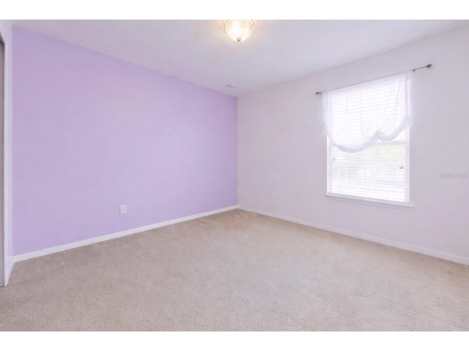 2863 Maple Brook Loop Lutz FL 33558 TB8497303 image16
