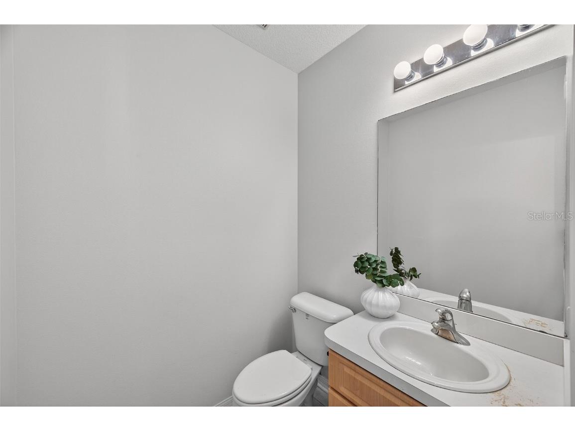 28632 Seashell Court Wesley Chapel FL 33545 TB8449125 image26