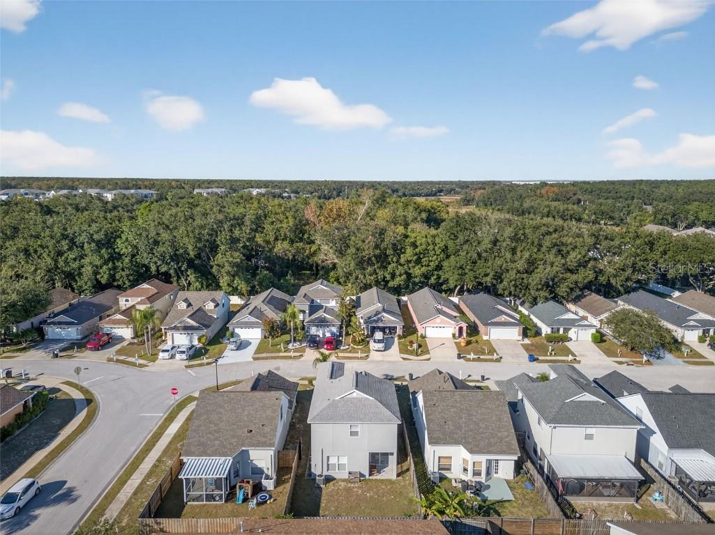 28632 Seashell Court Wesley Chapel FL 33545 TB8449125 image58