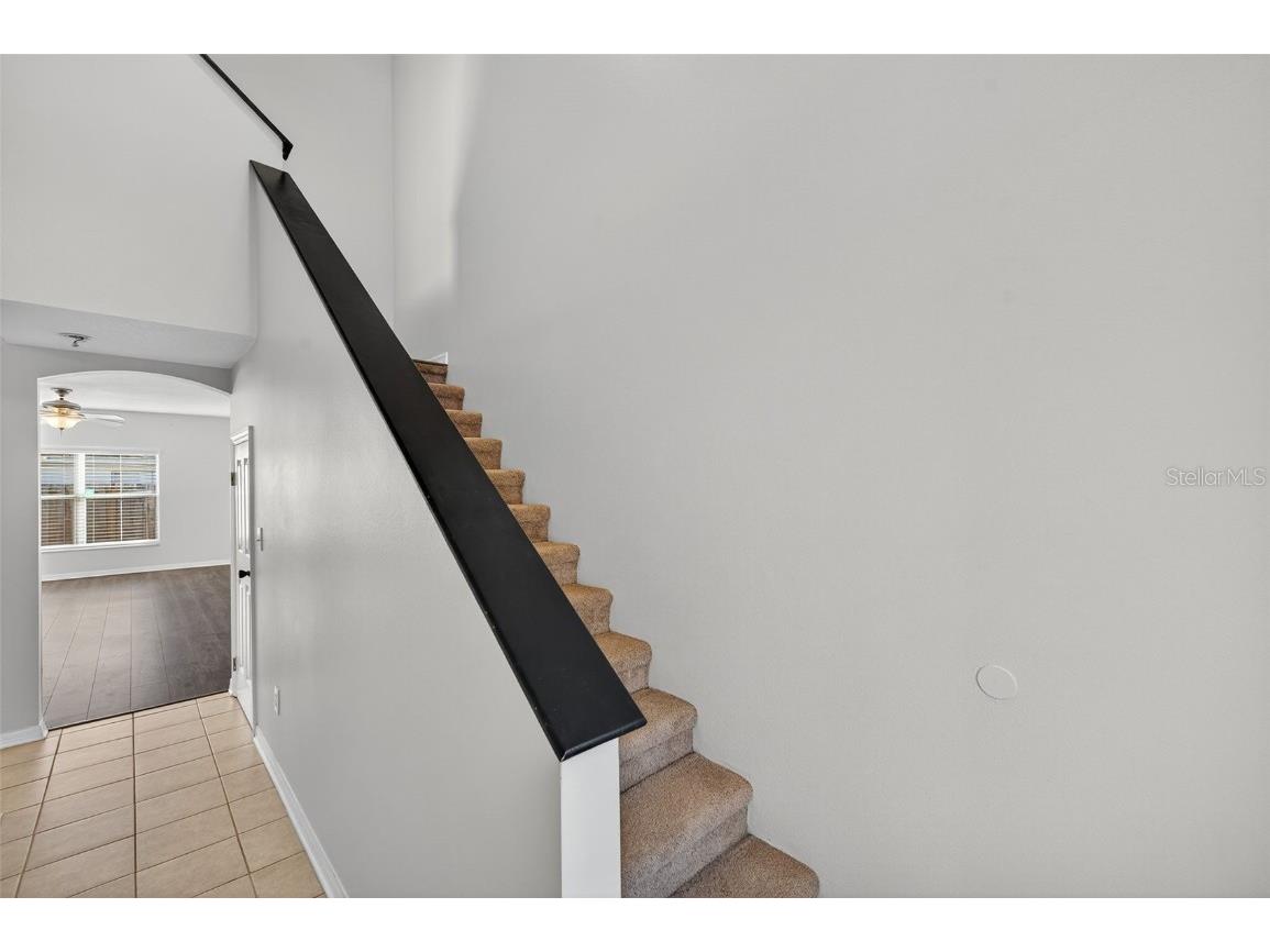 28632 Seashell Court Wesley Chapel FL 33545 TB8449125 image6