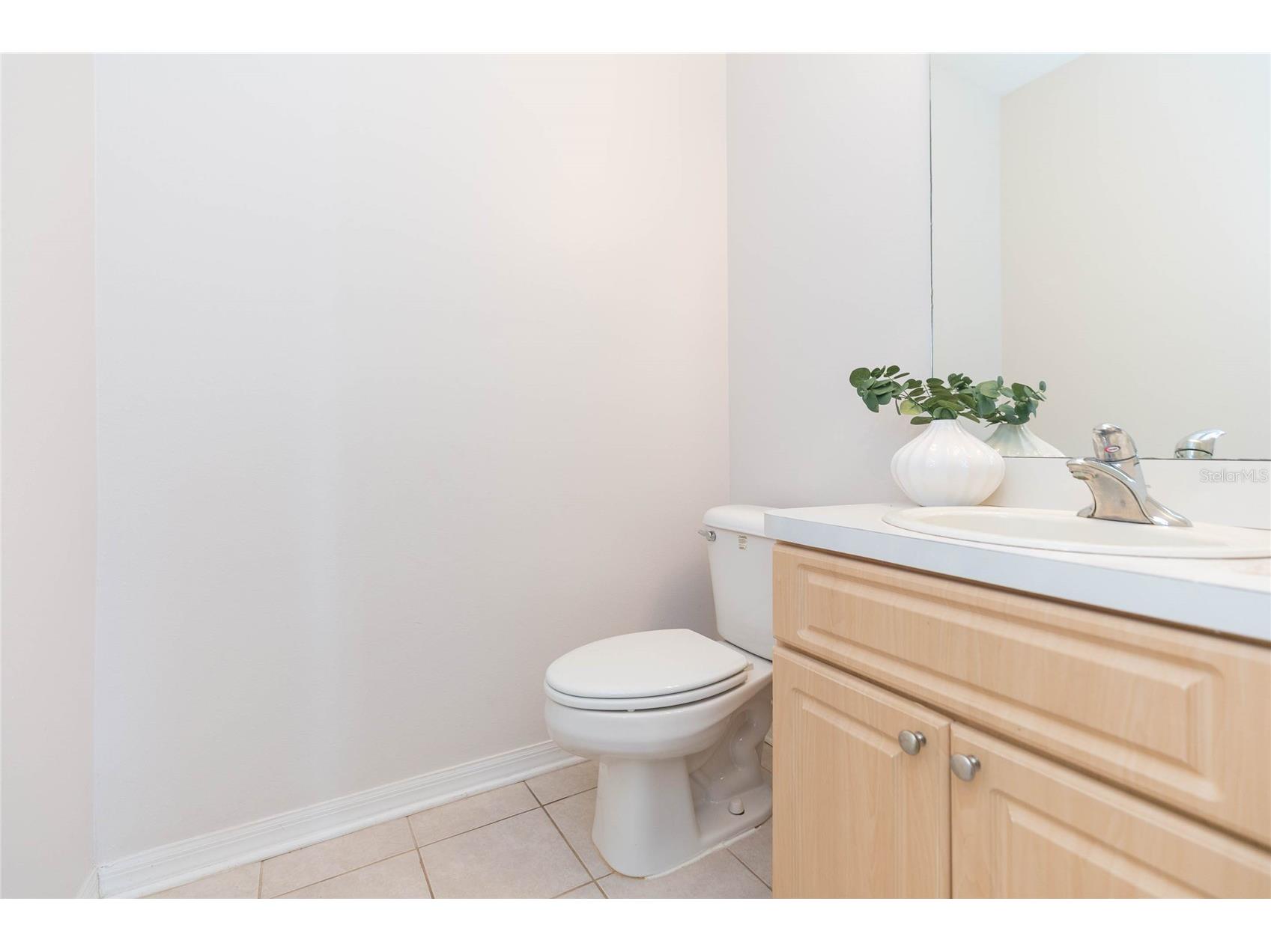 28632 Seashell Court Wesley Chapel FL 33545 TB8512962 image24