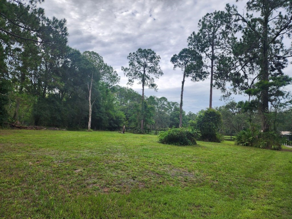 28639 Bennington Drive #PARCEL A Wesley Chapel FL 33544 TB8360043 image1