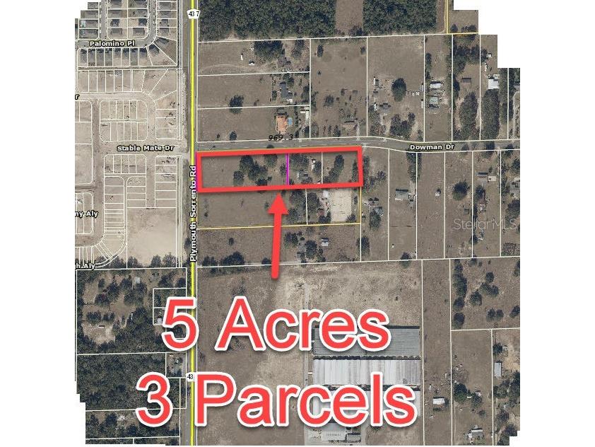 2864 Dowman Drive Apopka FL 32712 O6124011 image2