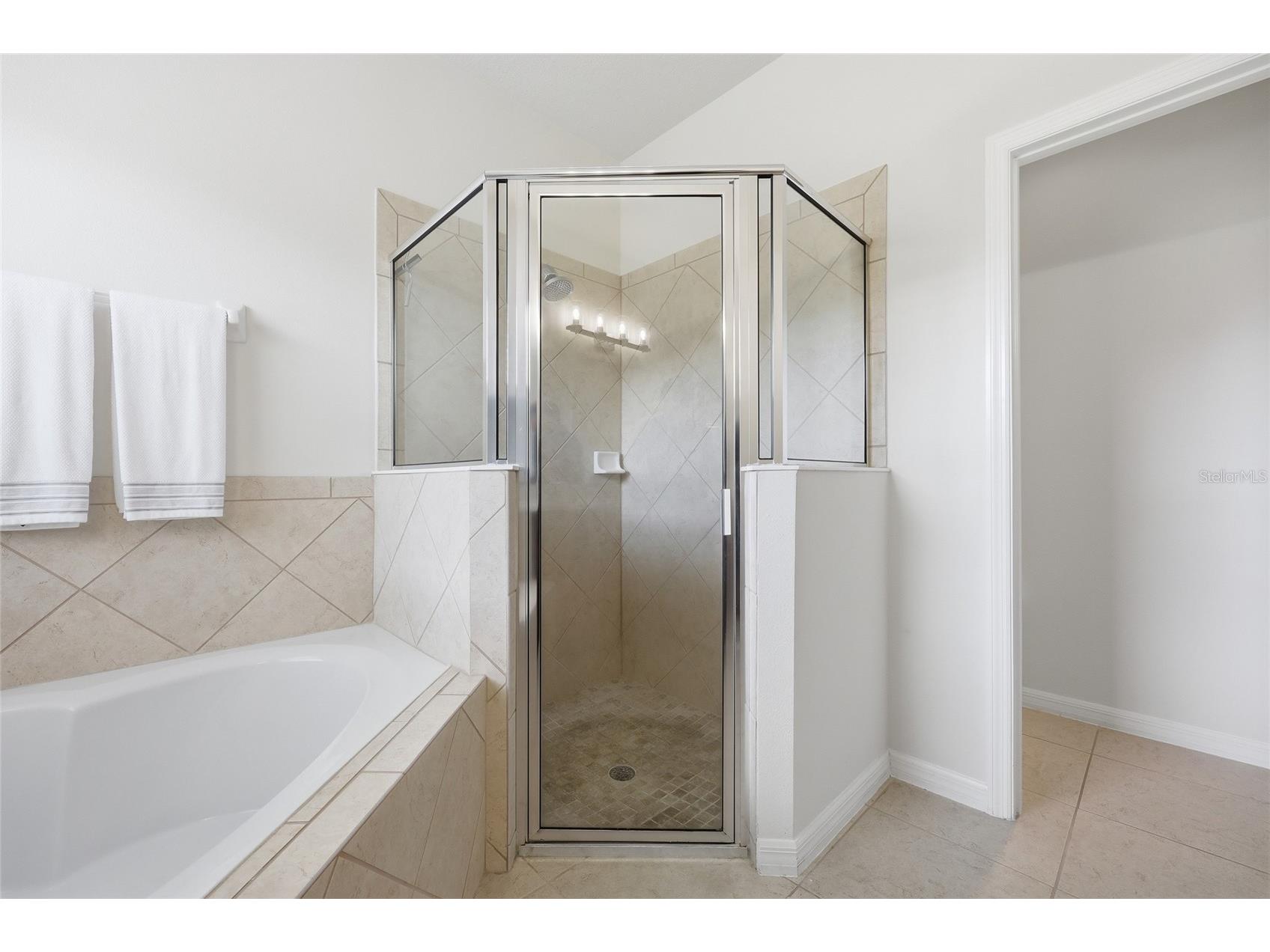 2864 Running Brook Circle Kissimmee FL 34744 S5146976 image31