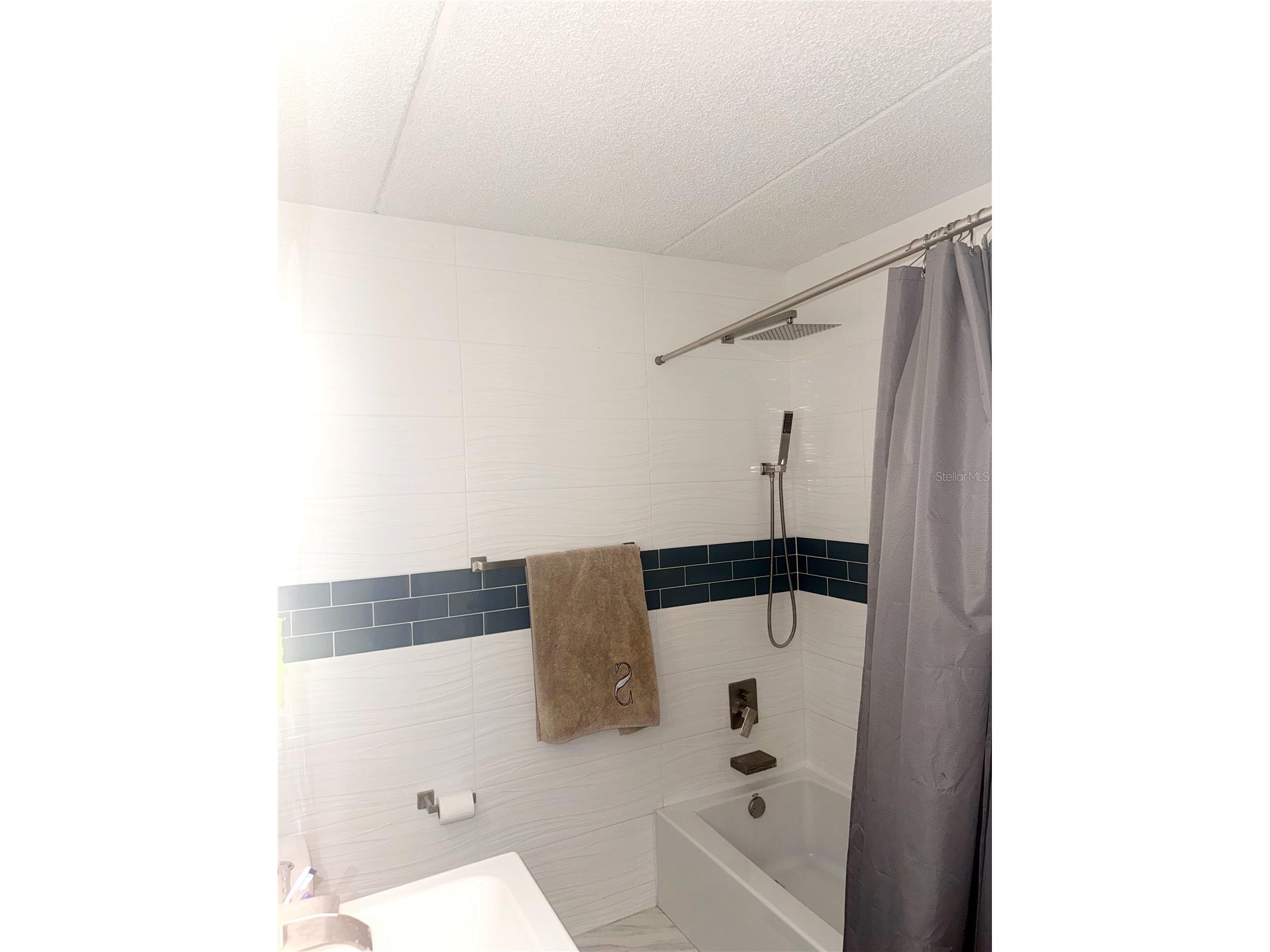 2864 Somerset Park Drive #2864 Tampa FL 33613 L4961716 image9