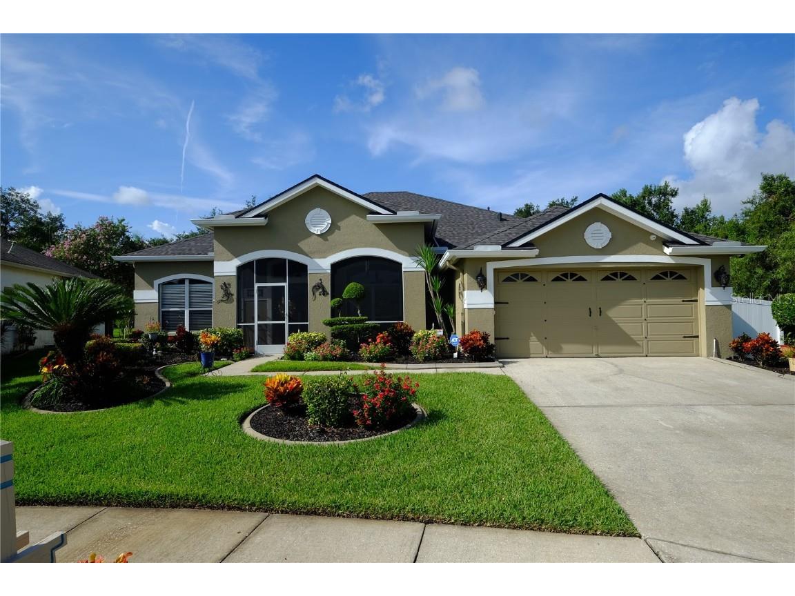 28642 Crooked Stick Court Wesley Chapel FL 33543 T3459848 image1