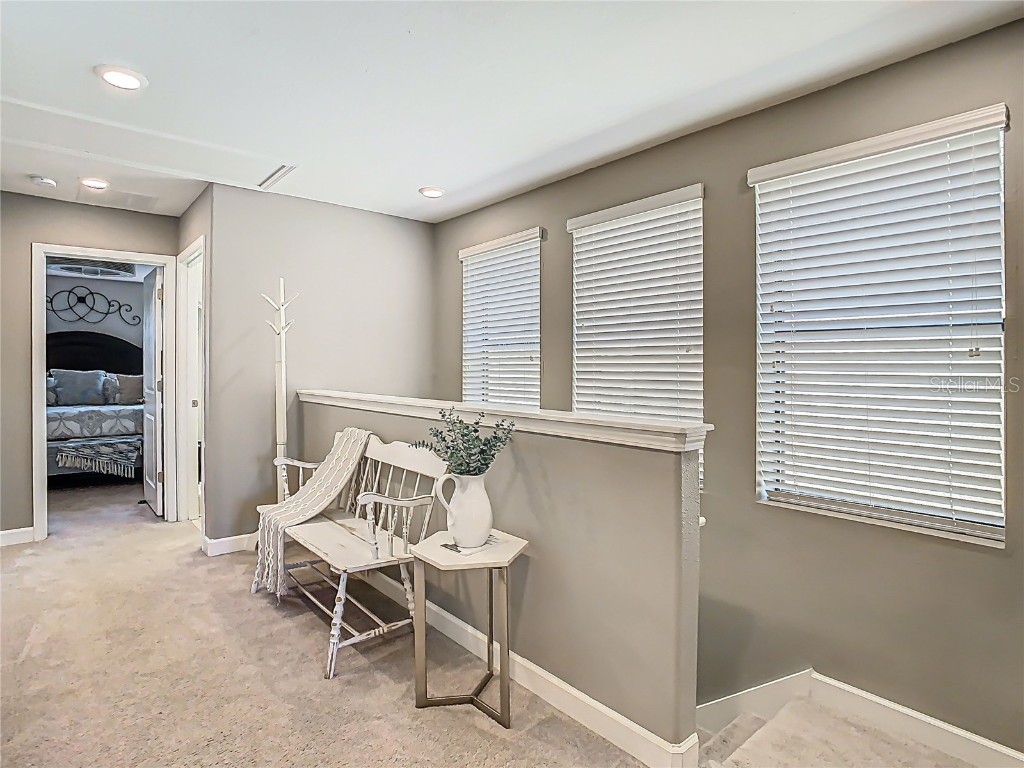 28642 Tranquil Lake Circle Wesley Chapel FL 33543 TB8396661 image16