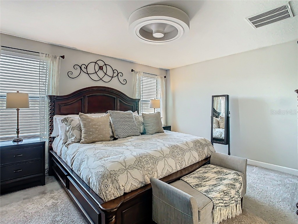 28642 Tranquil Lake Circle Wesley Chapel FL 33543 TB8396661 image17