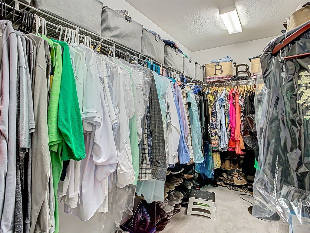 28642 Tranquil Lake Circle Wesley Chapel FL 33543 TB8396661 image18