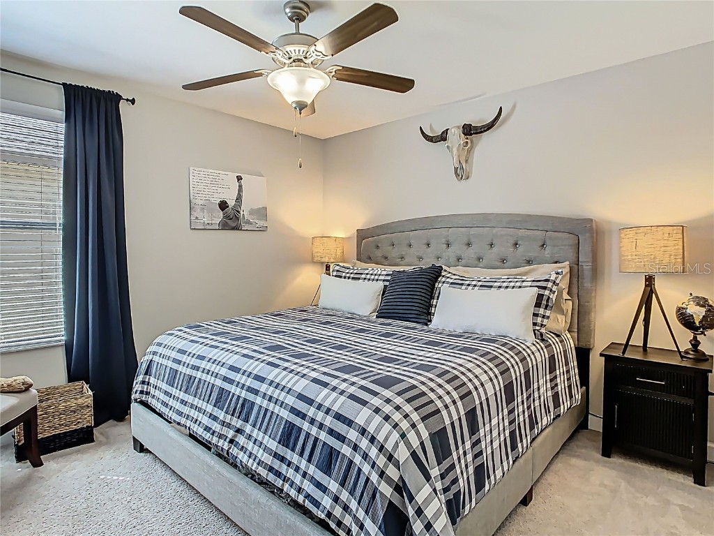 28642 Tranquil Lake Circle Wesley Chapel FL 33543 TB8396661 image20