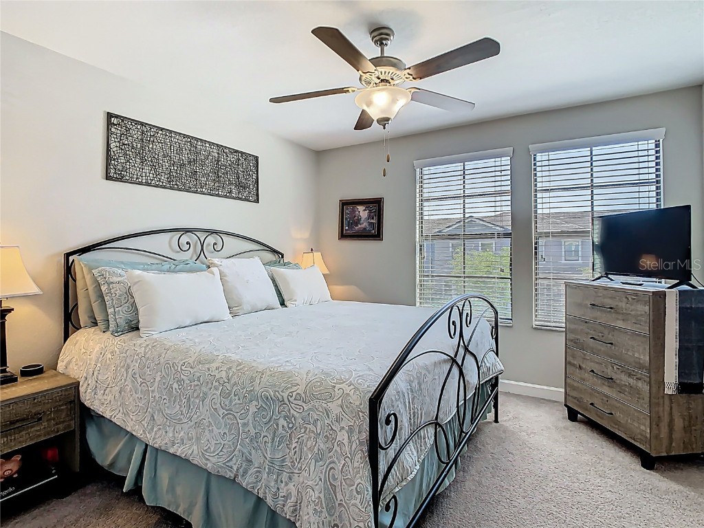 28642 Tranquil Lake Circle Wesley Chapel FL 33543 TB8396661 image21