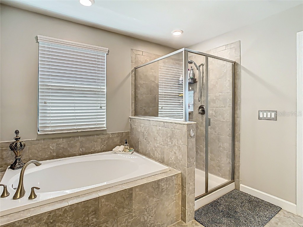 28642 Tranquil Lake Circle Wesley Chapel FL 33543 TB8396661 image22