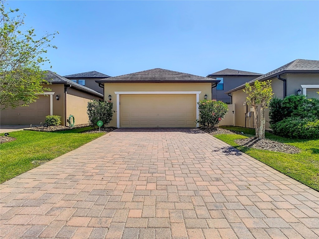 28642 Tranquil Lake Circle Wesley Chapel FL 33543 TB8396661 image24