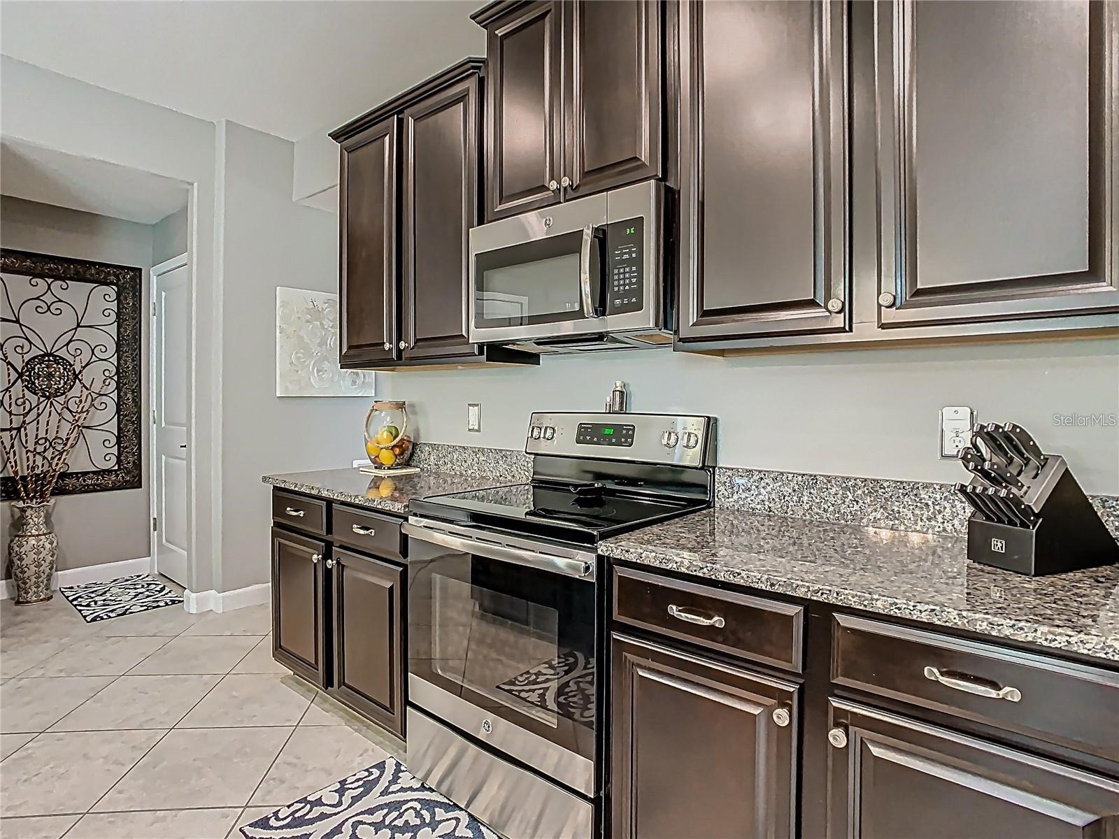 28642 Tranquil Lake Circle Wesley Chapel FL 33543 TB8476194 image20