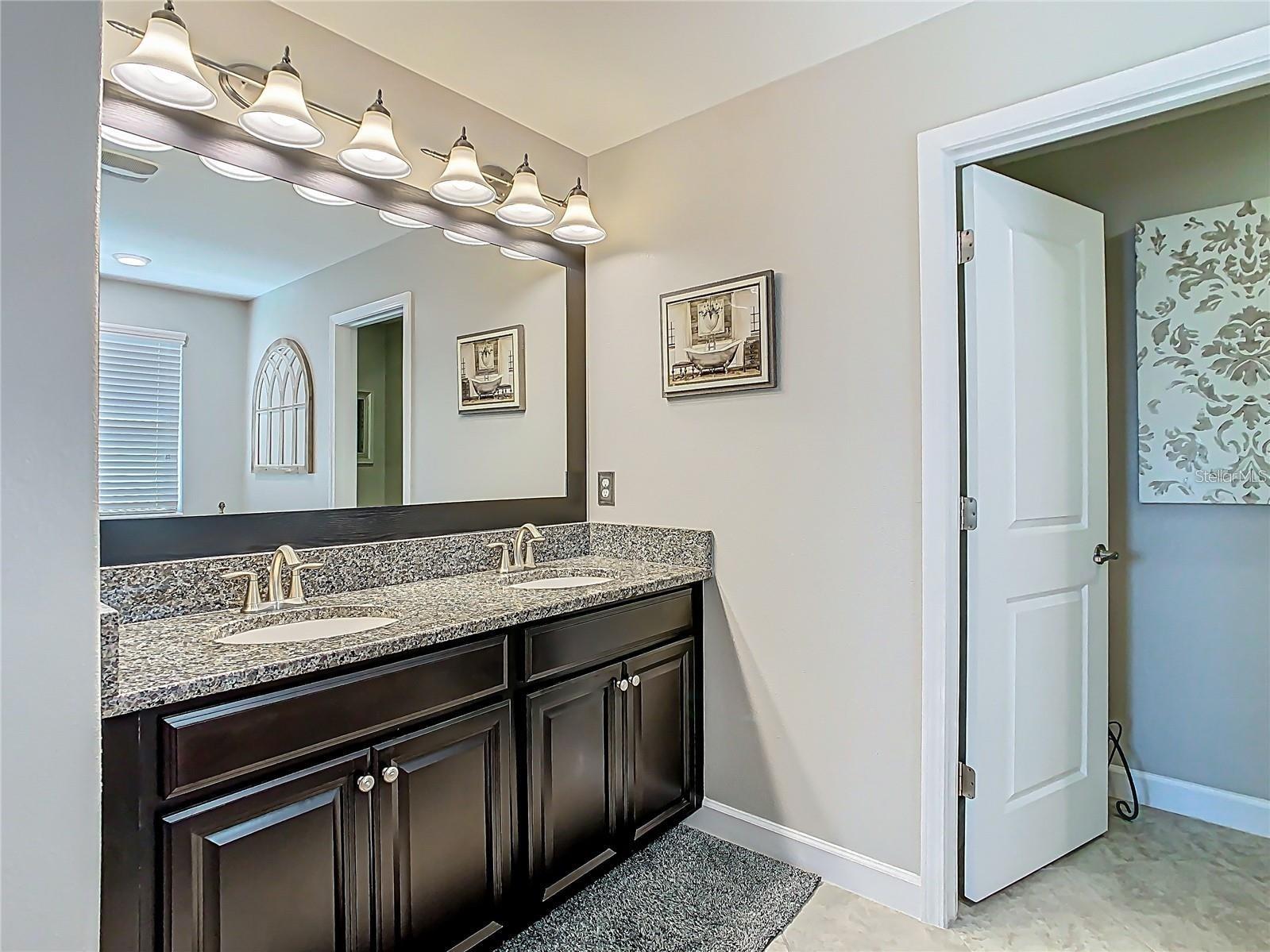 28642 Tranquil Lake Circle Wesley Chapel FL 33543 TB8476194 image41