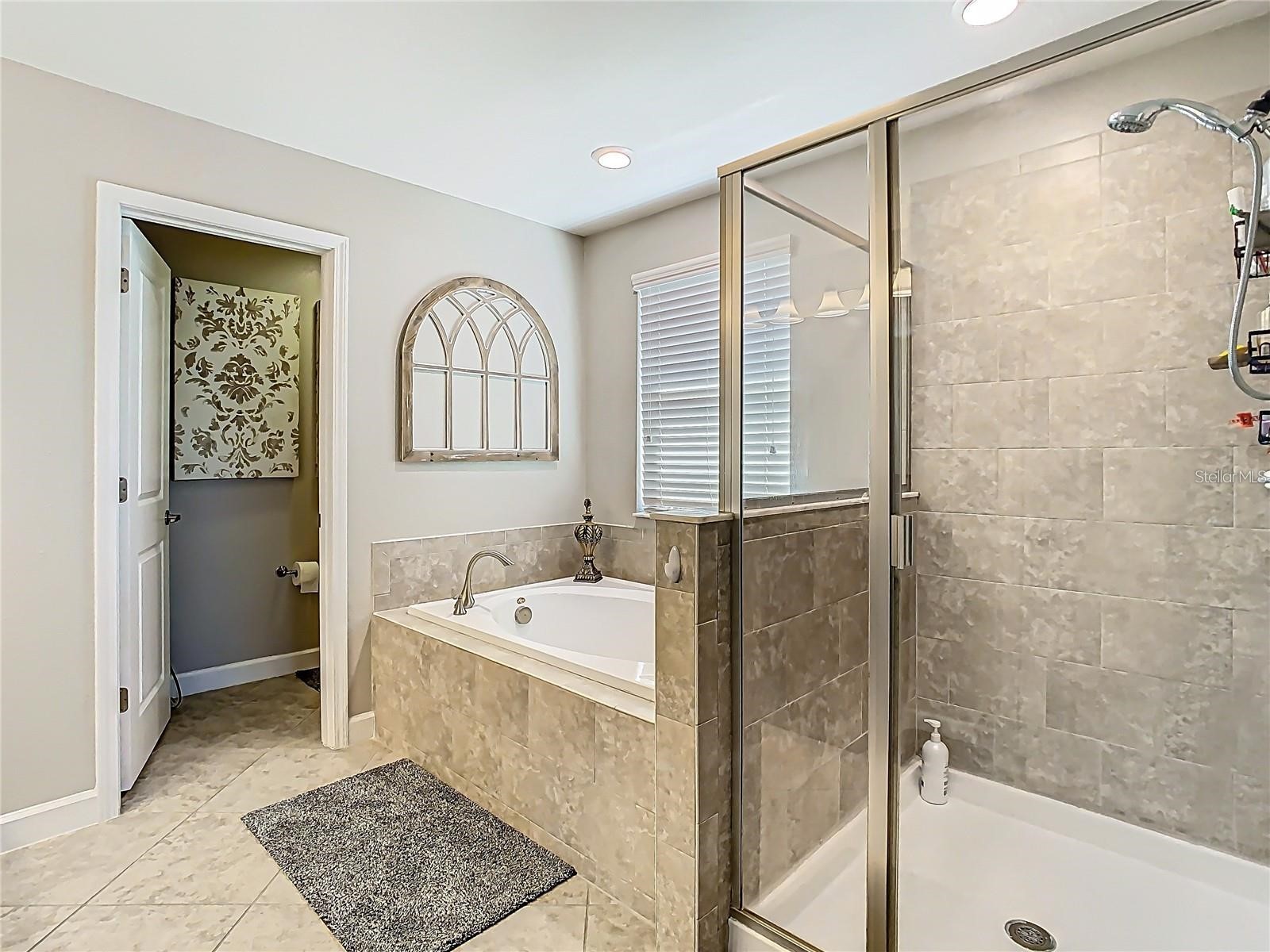 28642 Tranquil Lake Circle Wesley Chapel FL 33543 TB8476194 image42