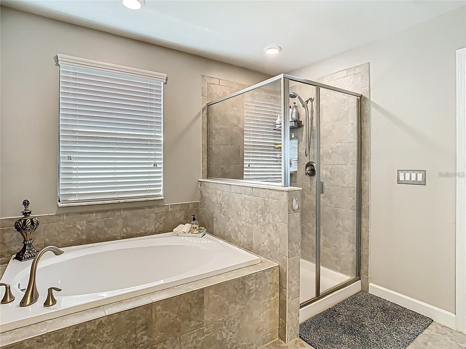 28642 Tranquil Lake Circle Wesley Chapel FL 33543 TB8476194 image43