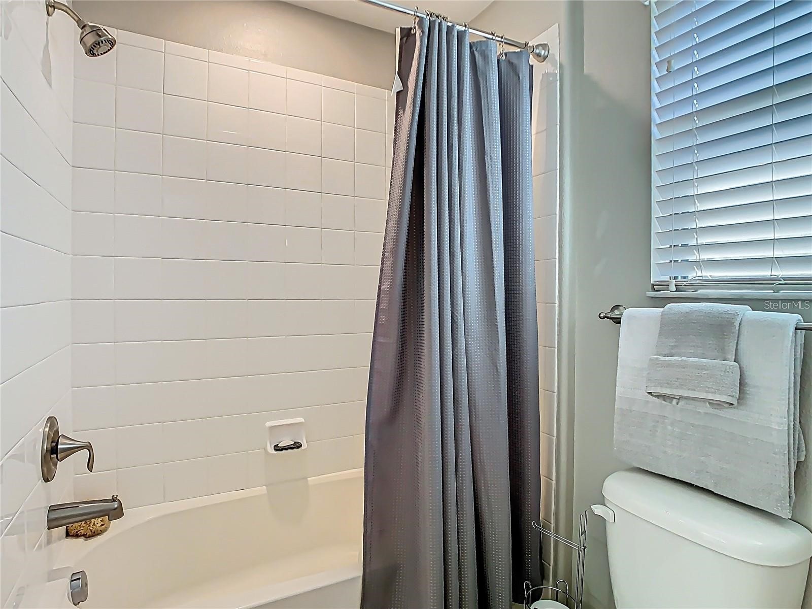 28642 Tranquil Lake Circle Wesley Chapel FL 33543 TB8476194 image48