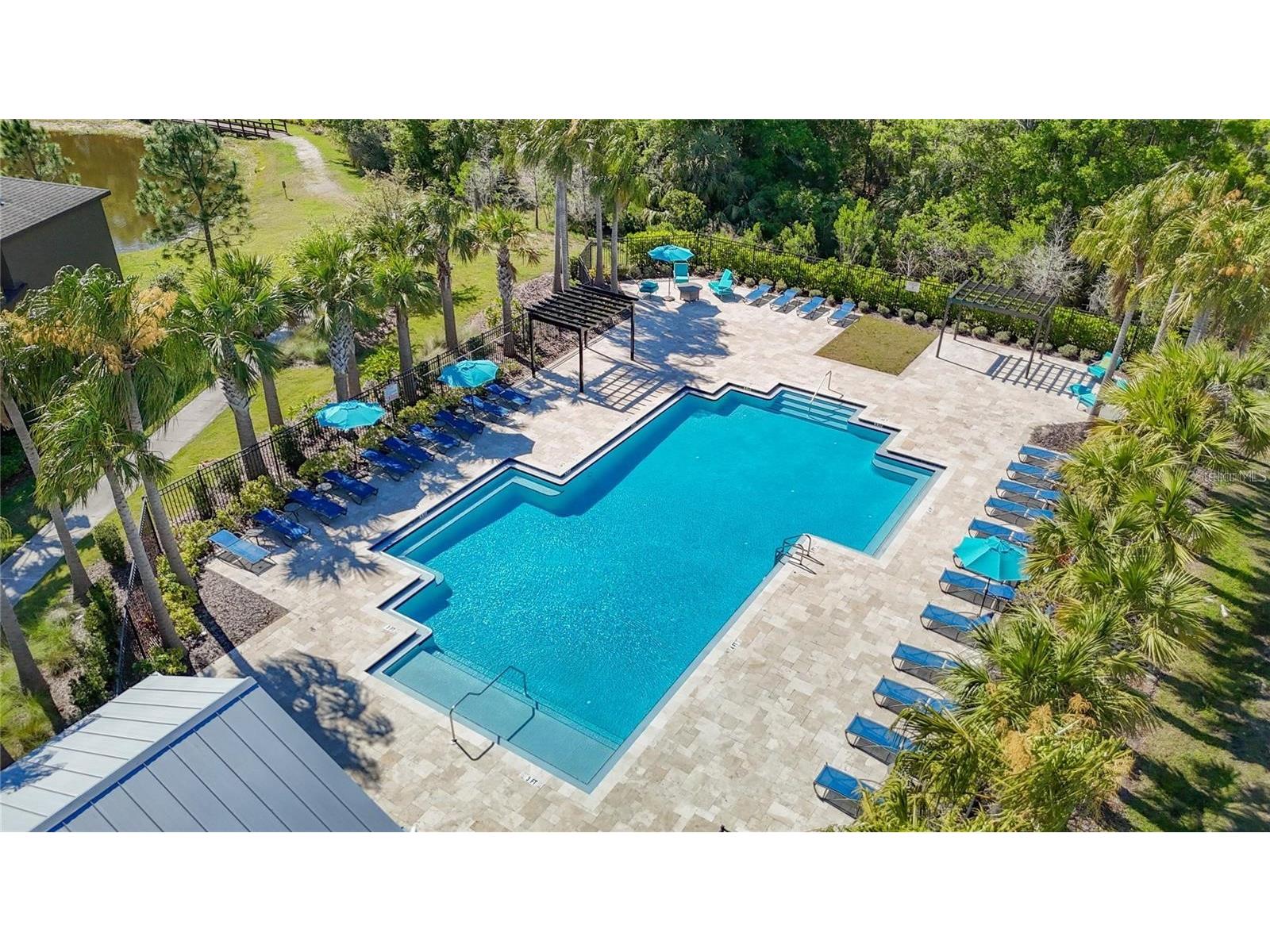 28642 Tranquil Lake Circle Wesley Chapel FL 33543 TB8476194 image66