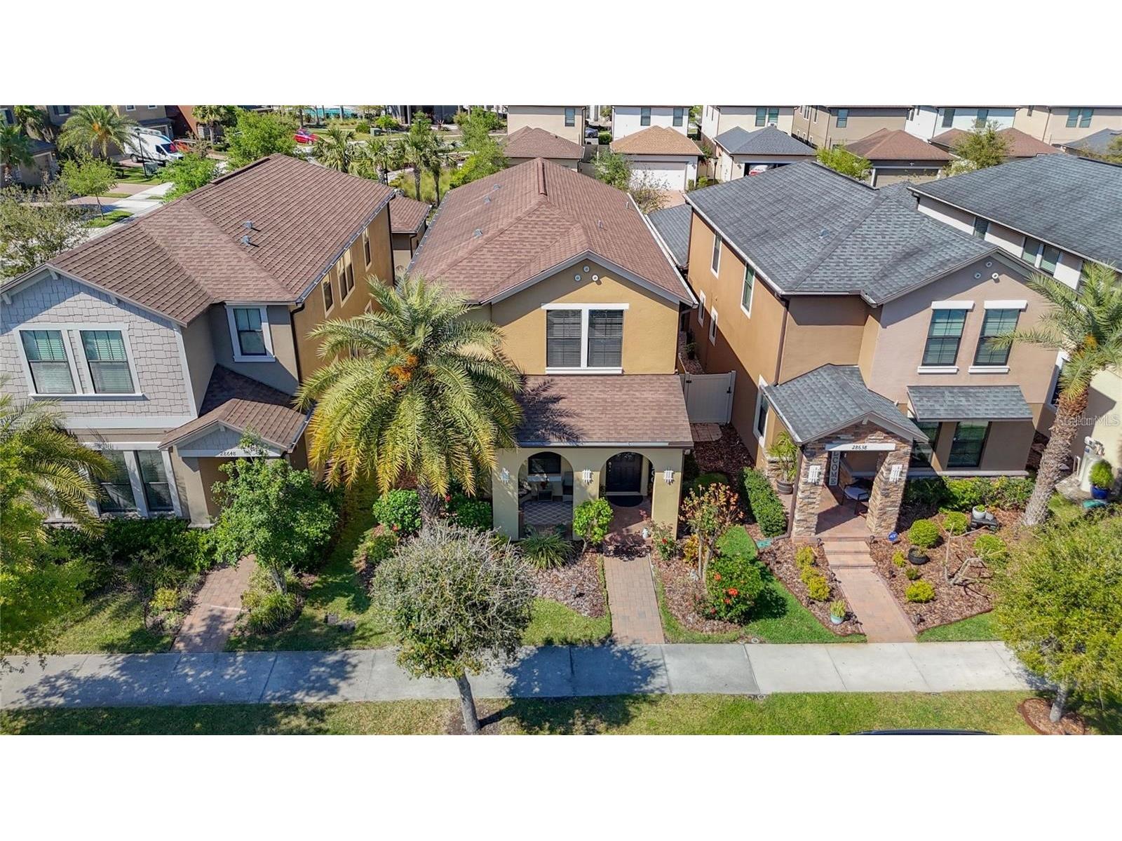 28642 Tranquil Lake Circle Wesley Chapel FL 33543 TB8476194 image7