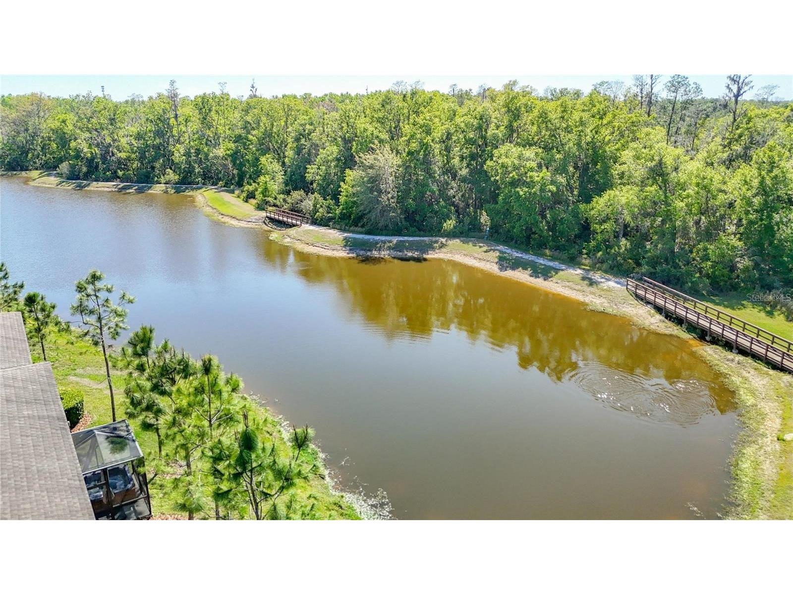 28642 Tranquil Lake Circle Wesley Chapel FL 33543 TB8476194 image70