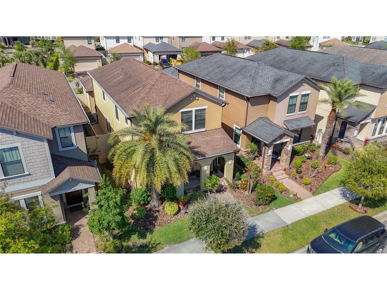 28642 Tranquil Lake Circle Wesley Chapel FL 33543 TB8476194 image8