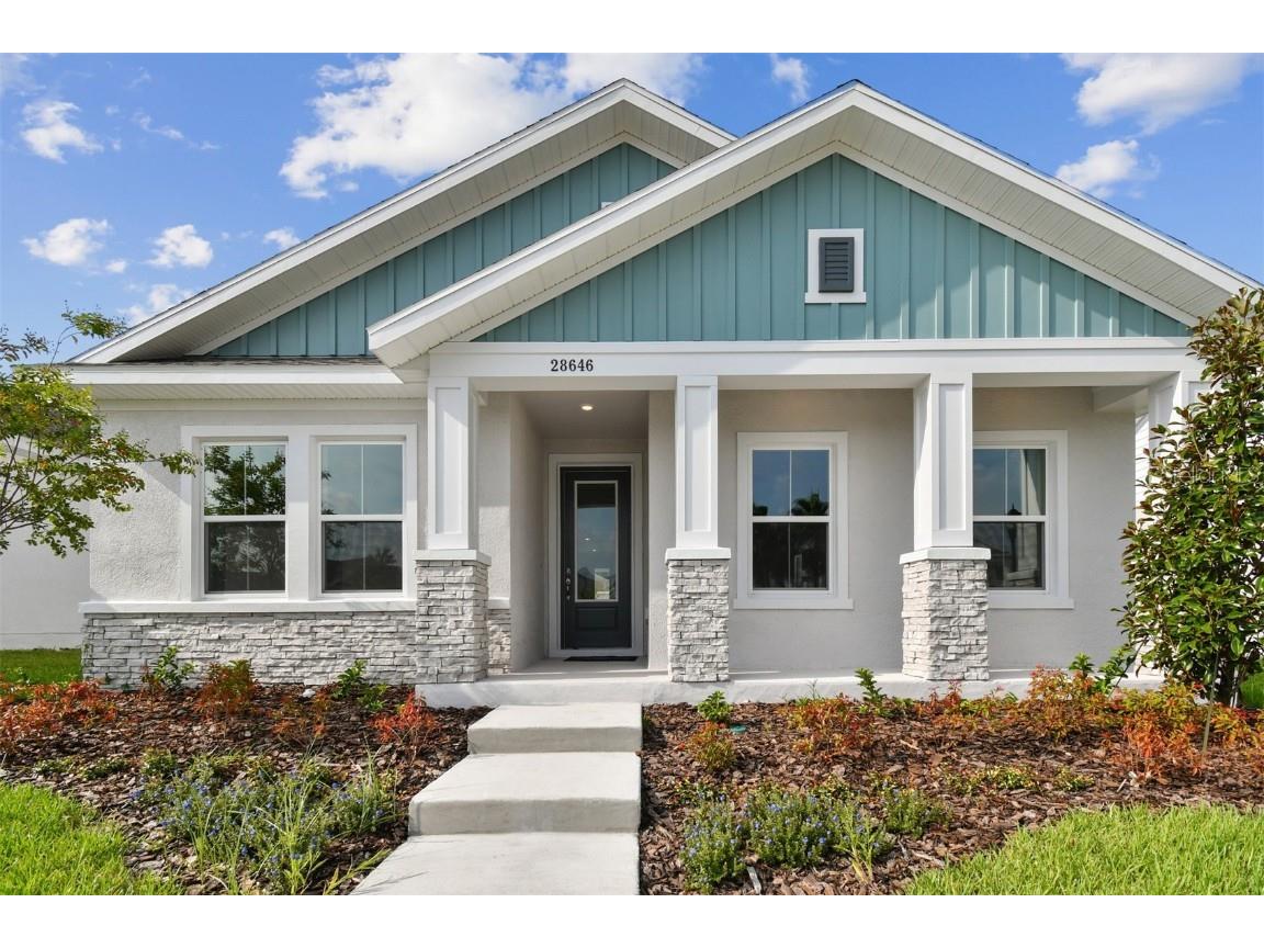 28646 Sweet Persimmon Drive Wesley Chapel FL 33543 T3525090 image1