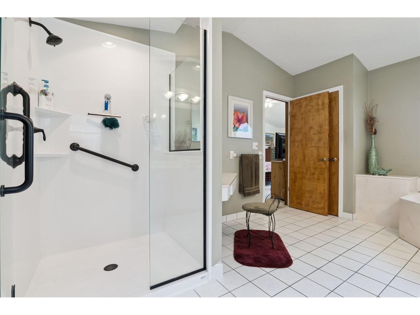 28646 Tammi Drive Tavares FL 32778 O6413000 image21
