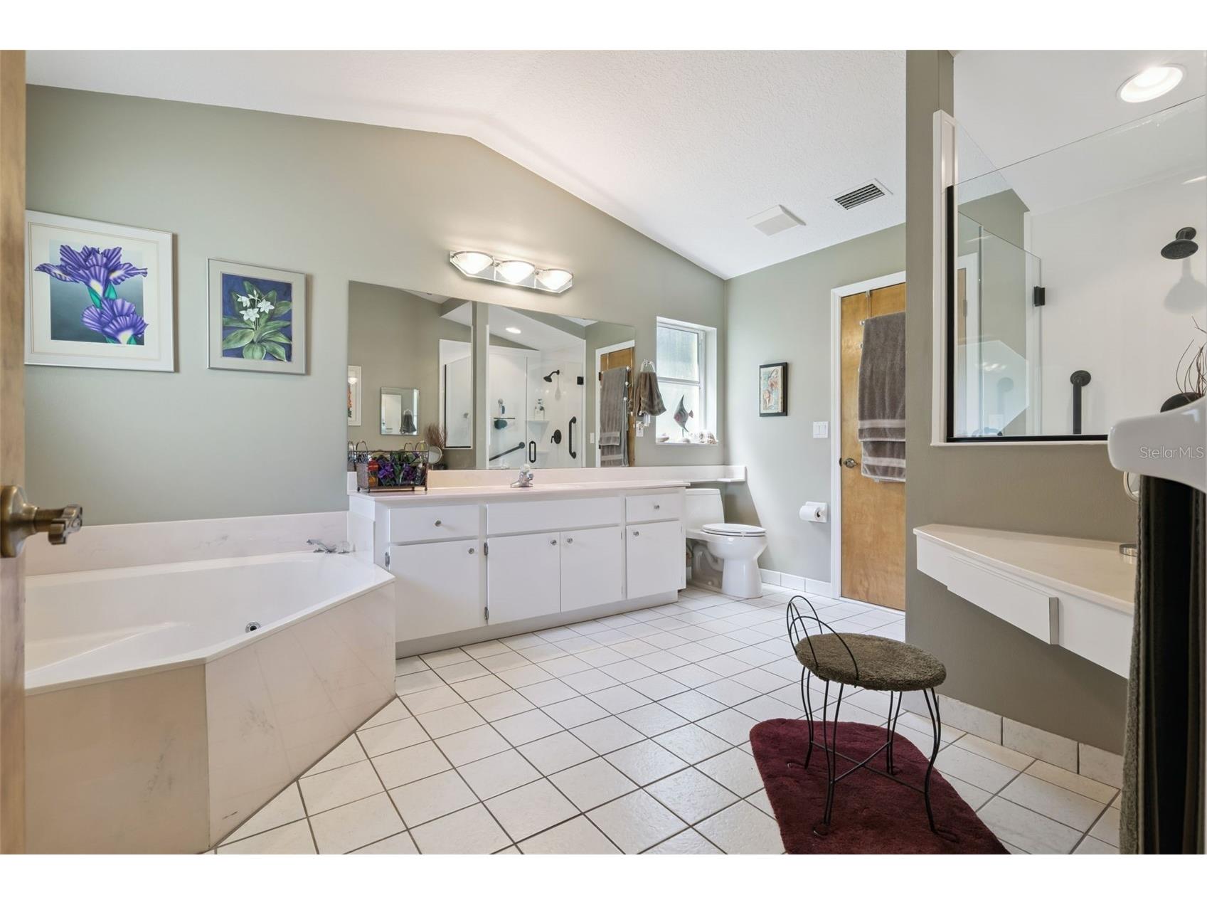 28646 Tammi Drive Tavares FL 32778 O6413000 image22