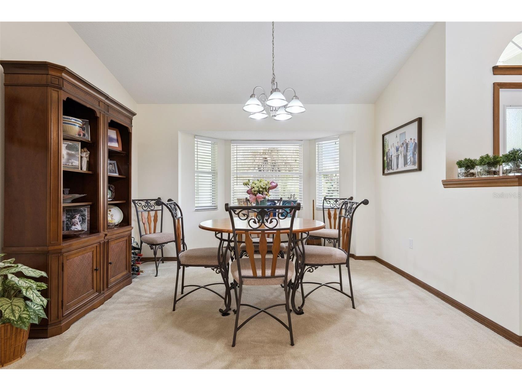 28646 Tammi Drive Tavares FL 32778 O6413000 image9
