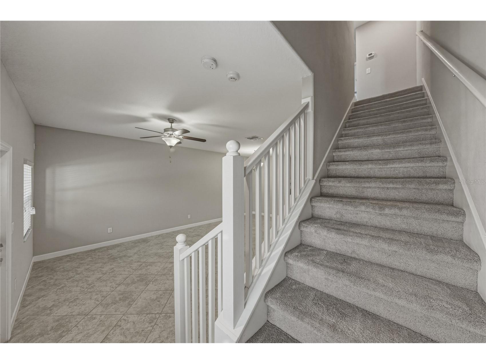 28647 Tranquil Lake Circle Wesley Chapel FL 33543 TB8501057 image18