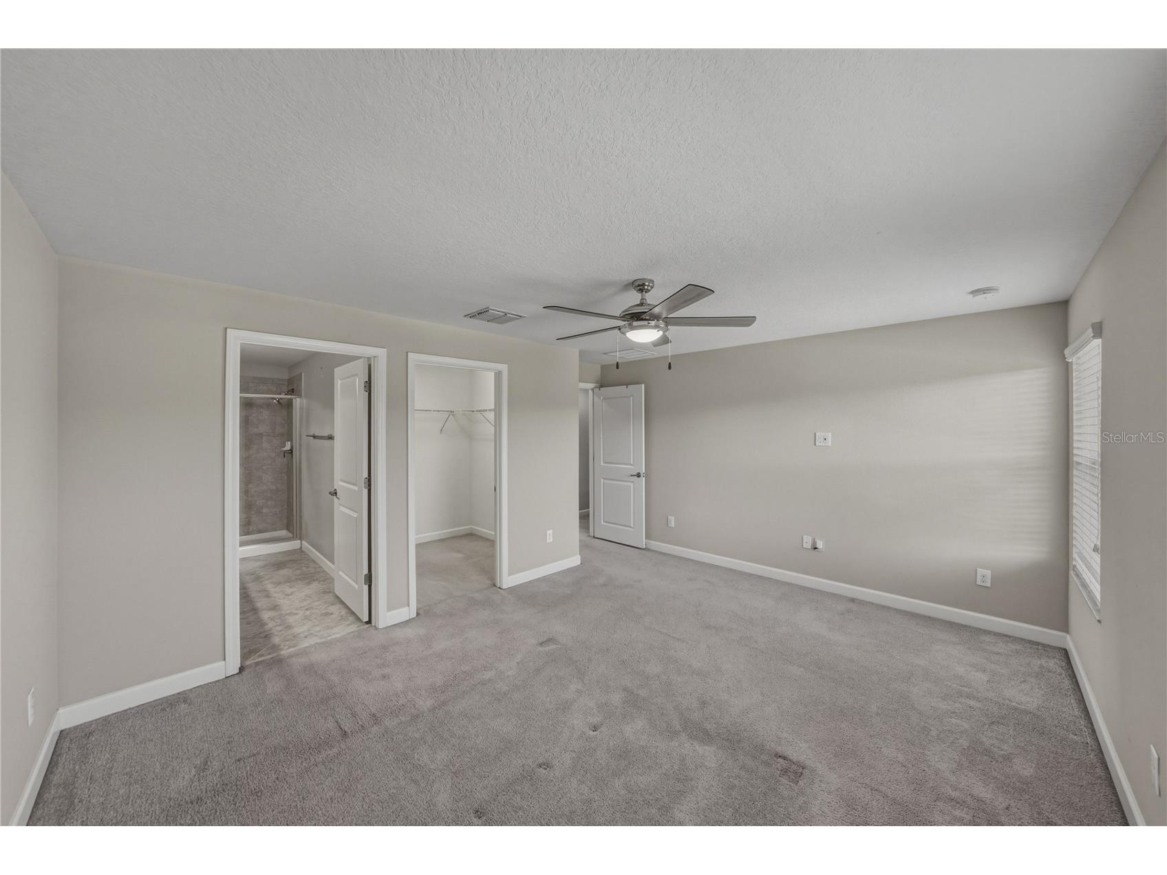 28647 Tranquil Lake Circle Wesley Chapel FL 33543 TB8501057 image22