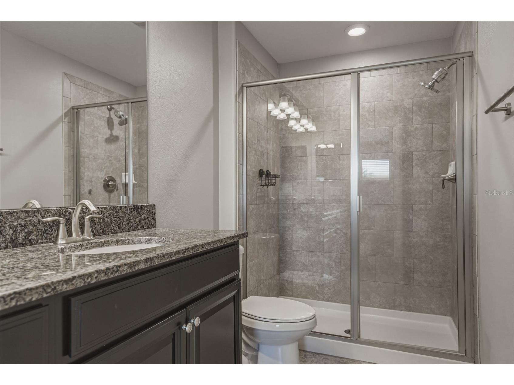 28647 Tranquil Lake Circle Wesley Chapel FL 33543 TB8501057 image24