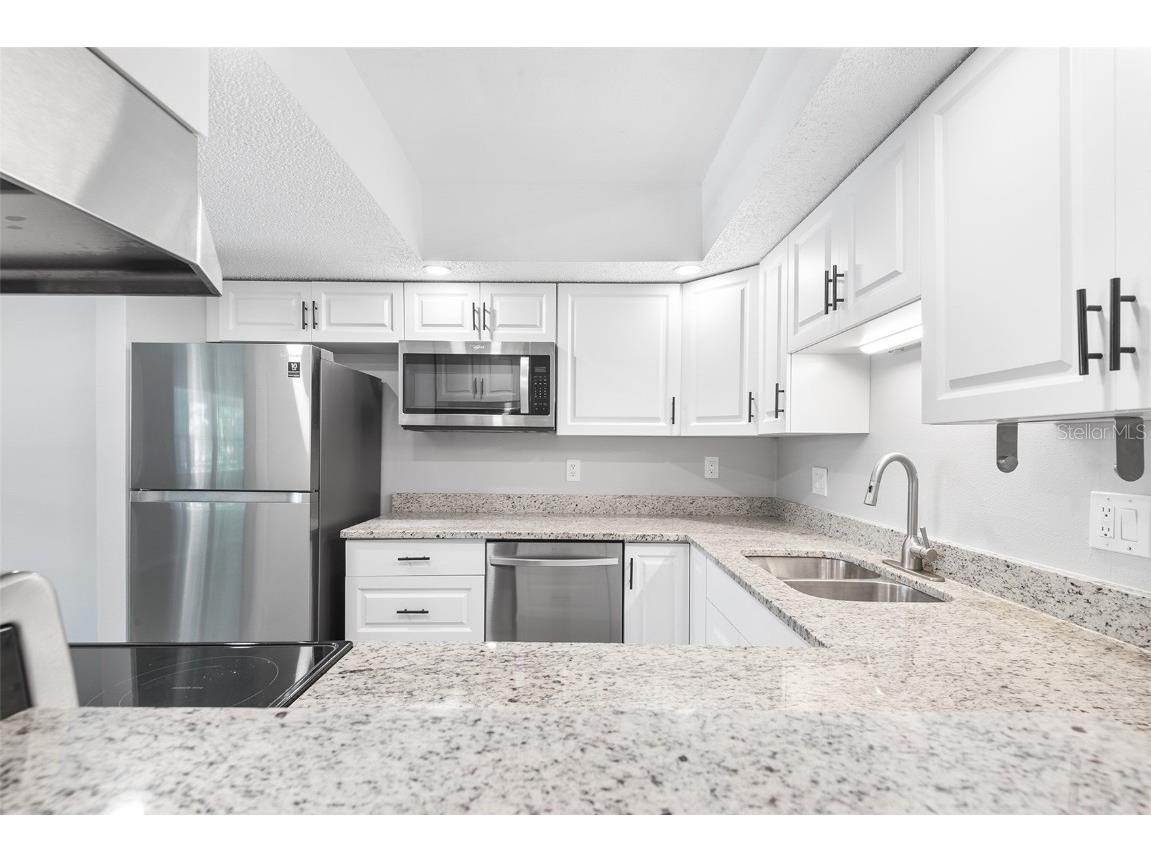 2865 51st Street S #9 Gulfport FL 33707 O6358820 image8