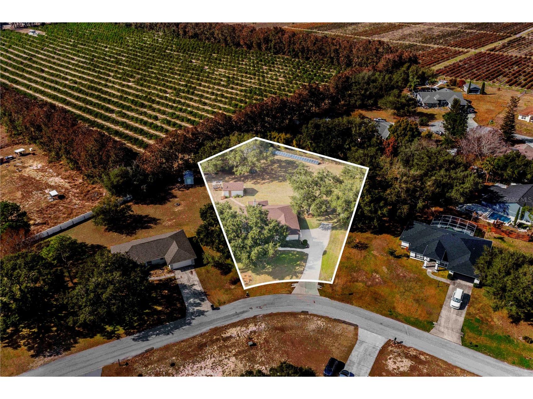 2865 Pond View Drive Haines City FL 33844 P4937806 image8