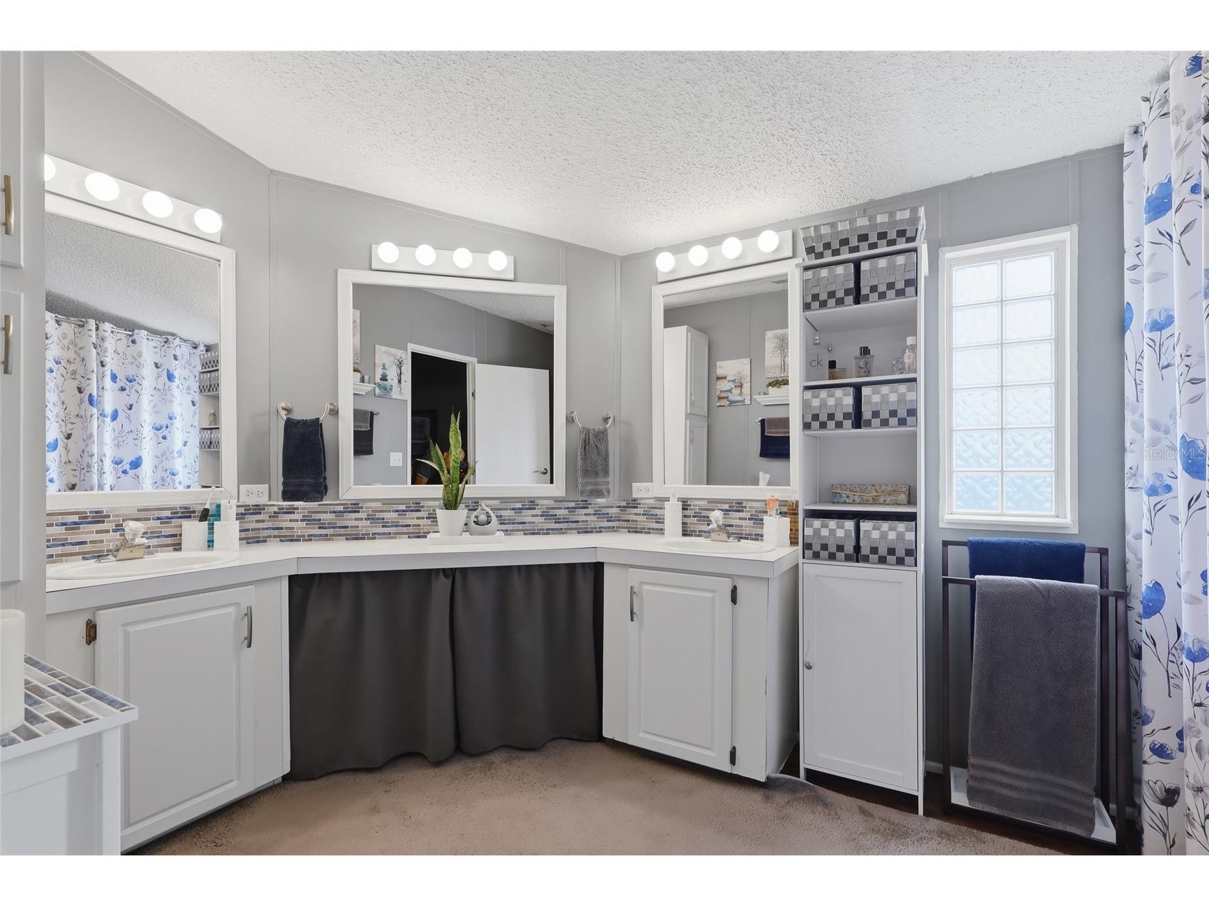 28651 Tupper Road Wesley Chapel FL 33545 TB8517500 image19