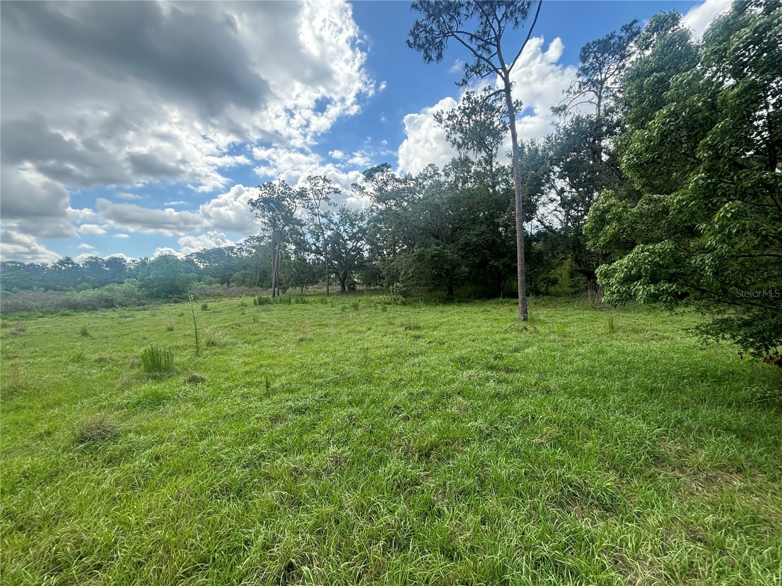 28651 Tupper Road Wesley Chapel FL 33545 TB8517500 image31