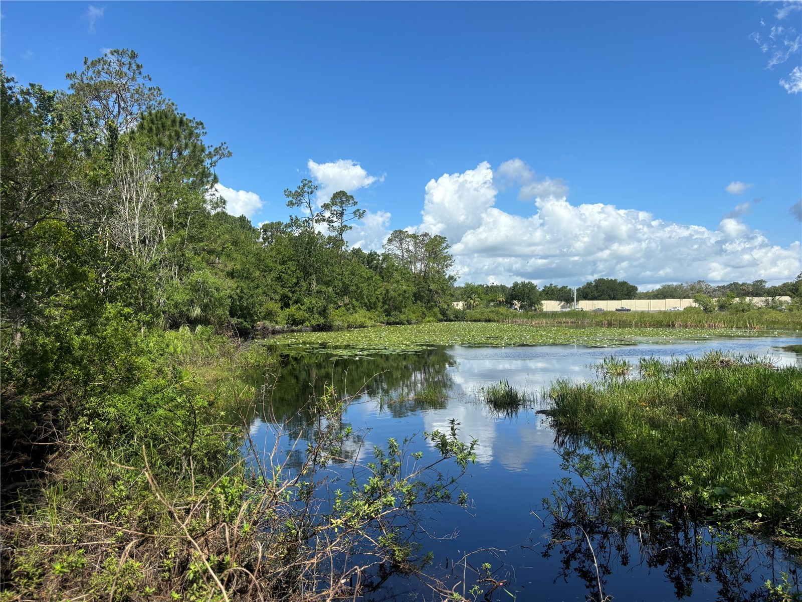 28651 Tupper Road Wesley Chapel FL 33545 TB8517500 image32