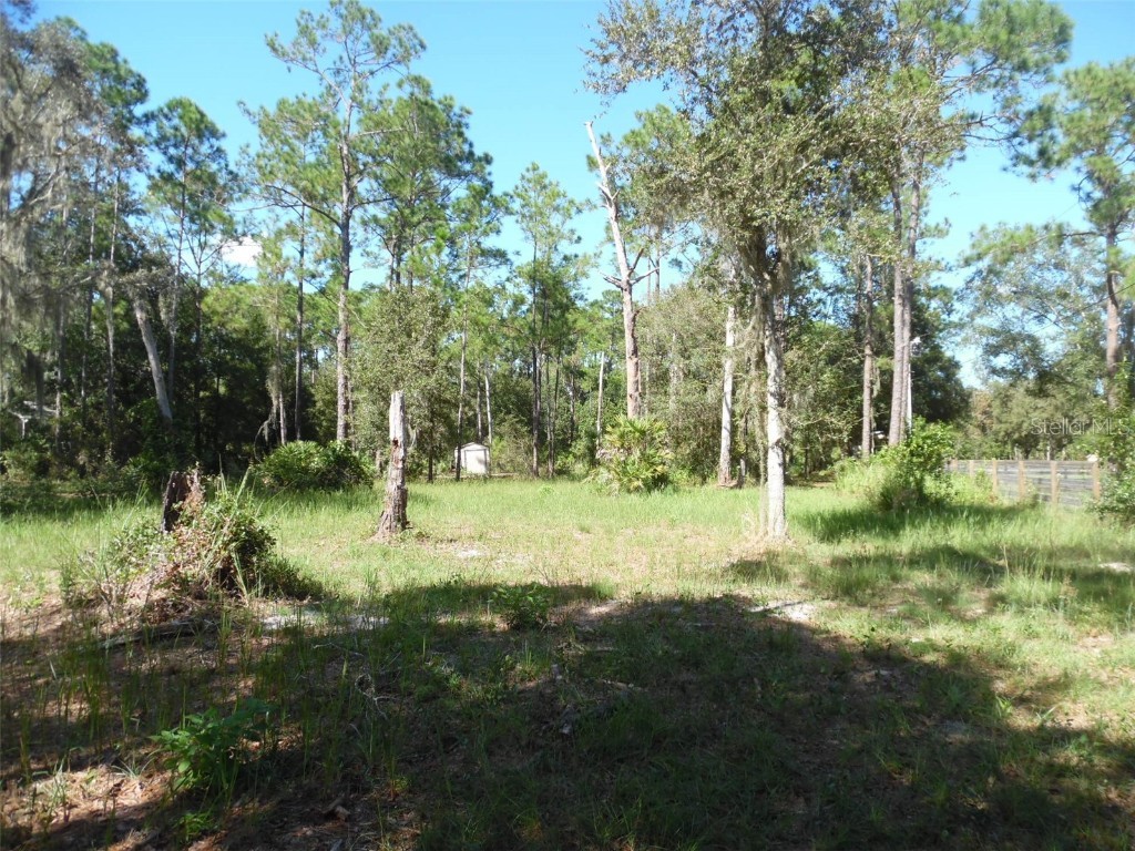 28655 Lindenhurst Drive Wesley Chapel FL 33544 W7858973 image1