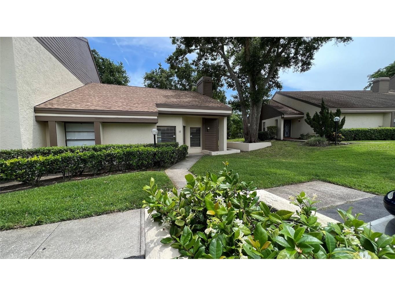 2866 Countrybrook Drive #16 Palm Harbor FL 34684 U8229740 image1