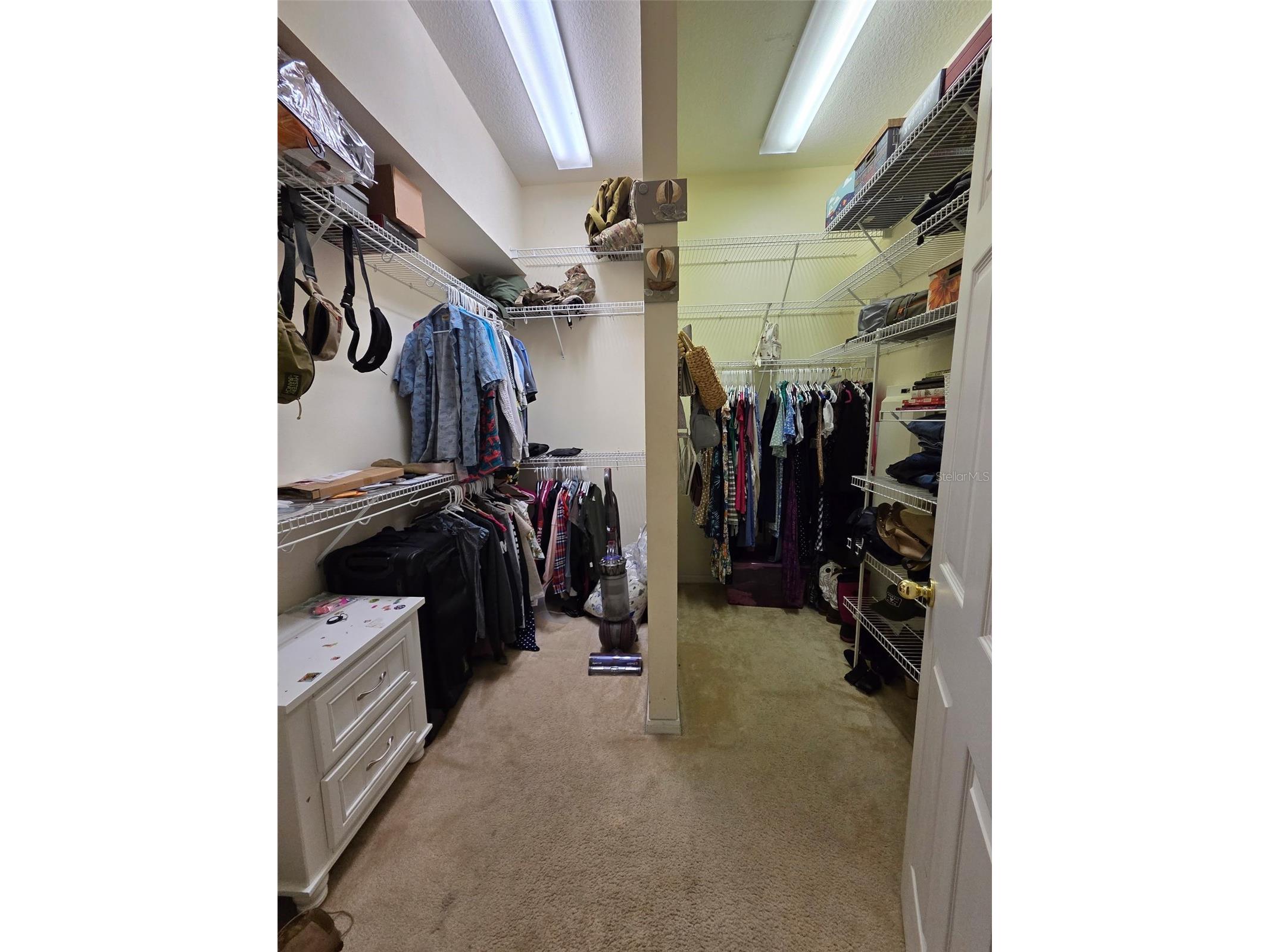 2866 Duncan Tree Circle Valrico FL 33594 TB8503289 image11