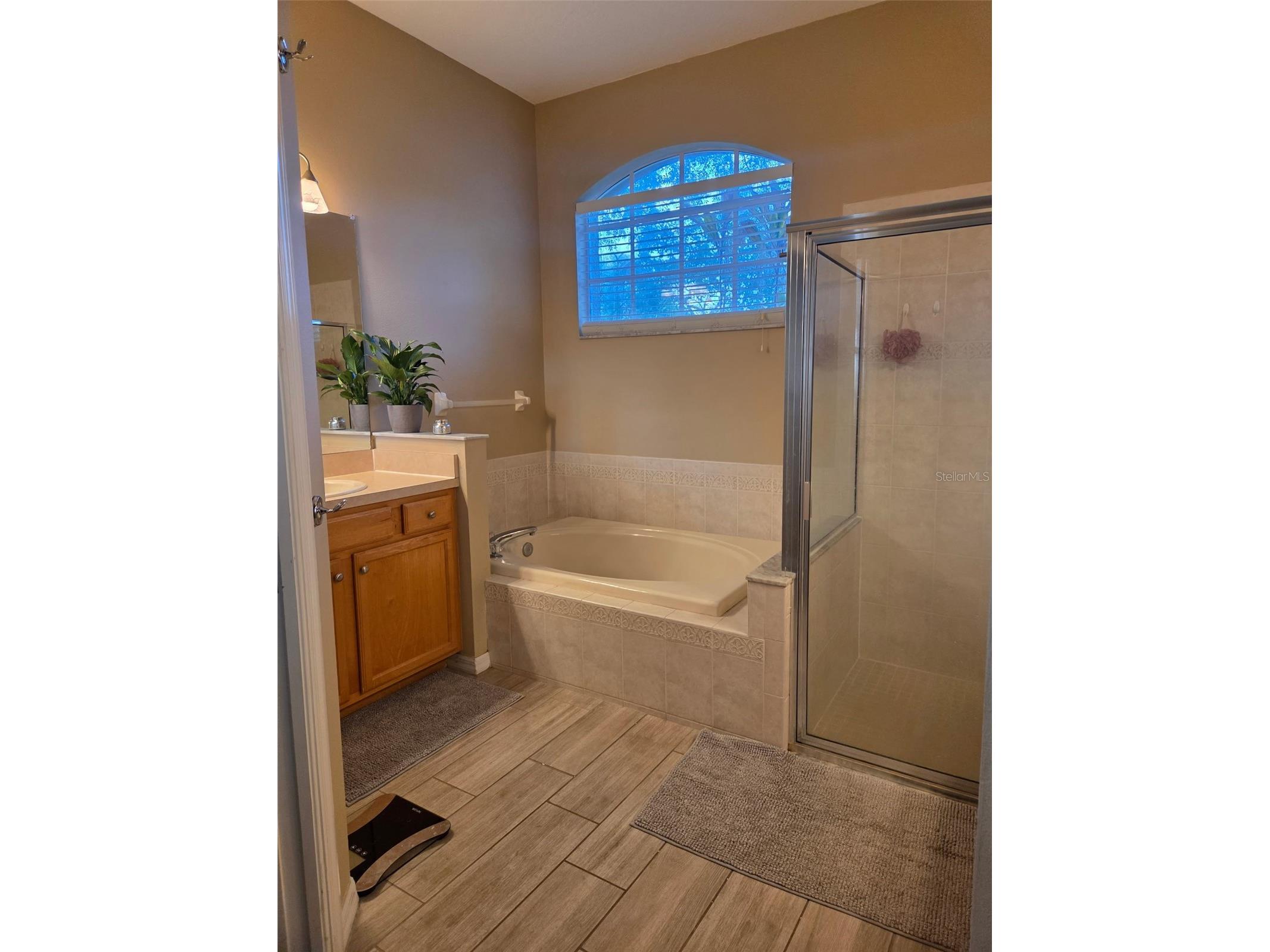 2866 Duncan Tree Circle Valrico FL 33594 TB8503289 image12