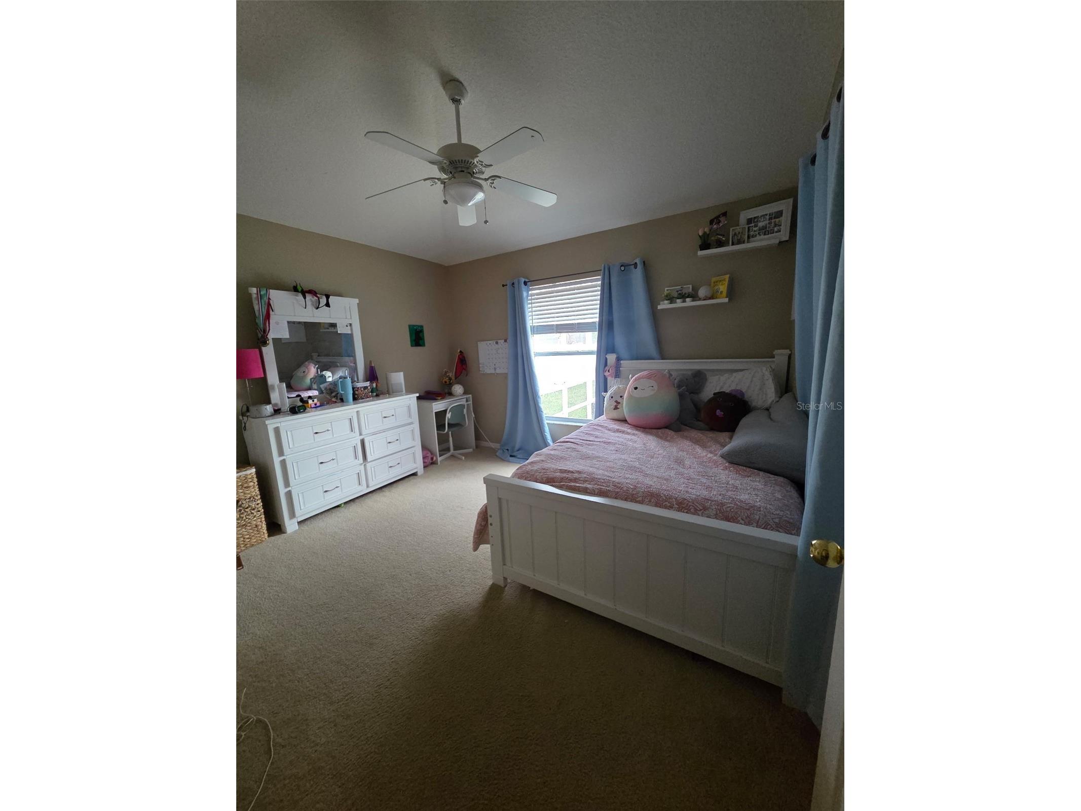 2866 Duncan Tree Circle Valrico FL 33594 TB8503289 image16