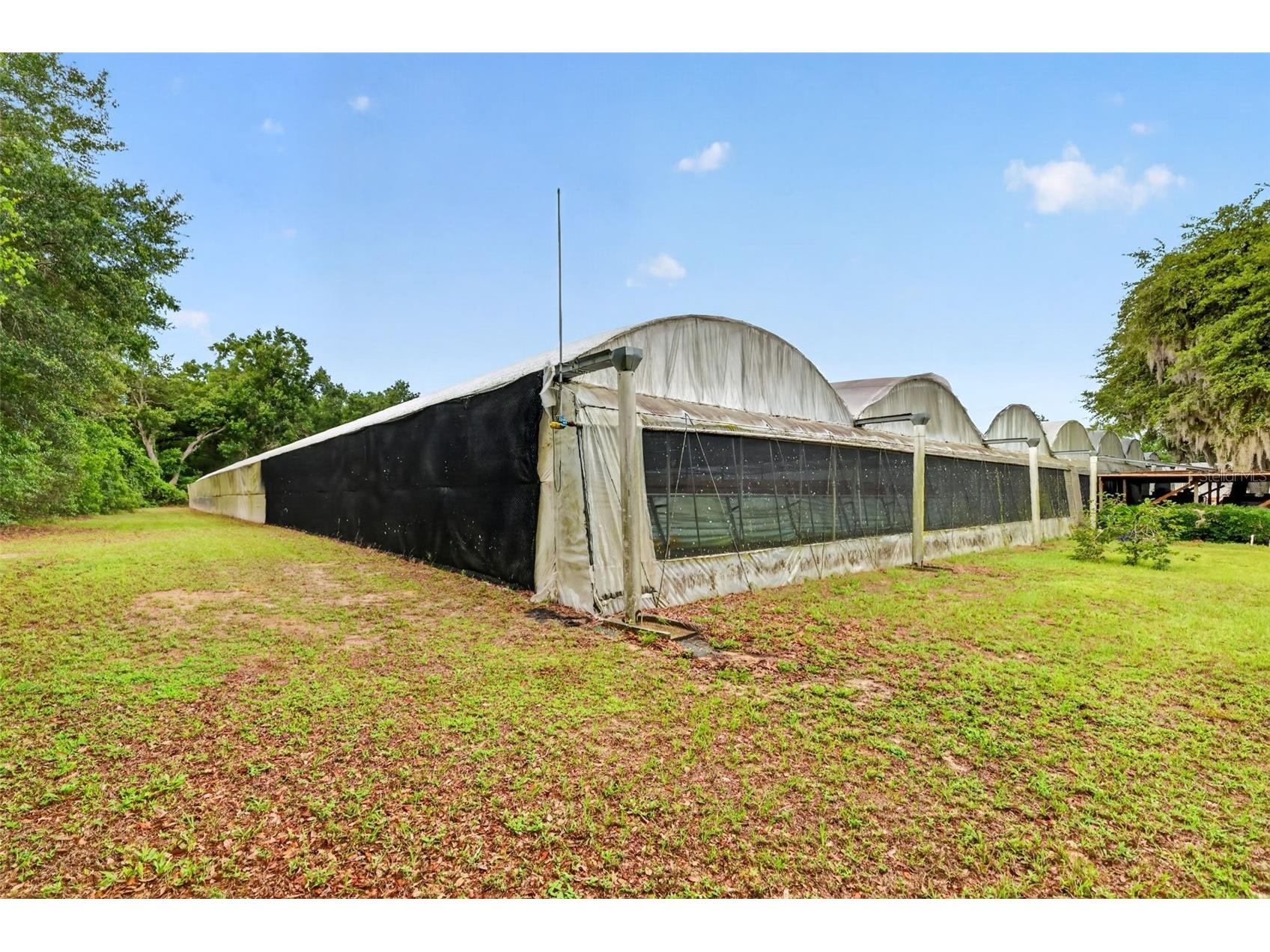 2866 Lent Road Apopka FL 32712 O6411862 image9