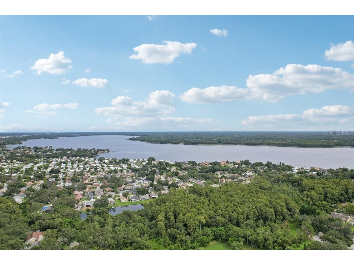 2866 Thistle Court N Palm Harbor FL 34684 TB8424600 image58