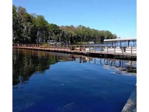 2866 Thistle Court N Palm Harbor FL 34684 TB8424600 image74