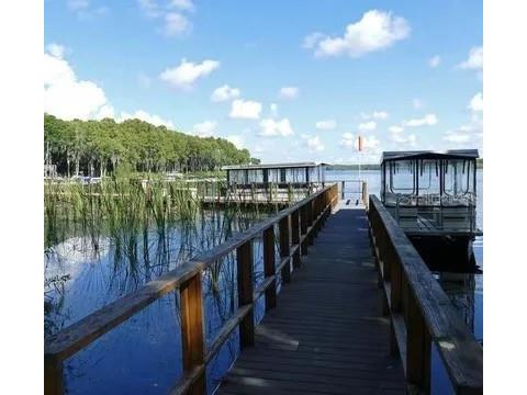 2866 Thistle Court N Palm Harbor FL 34684 TB8424600 image77