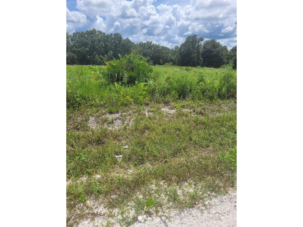 2866 W Haviland Road Avon Park FL 33825 U8131952 image1