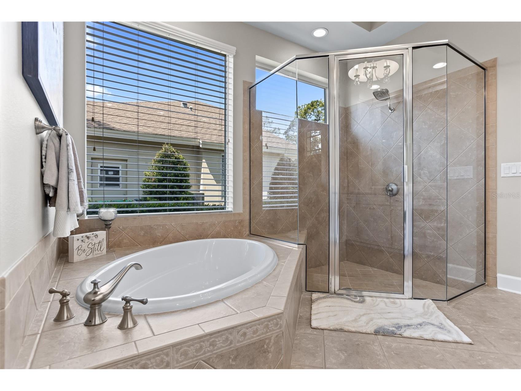 2867 Deer Run Tarpon Springs FL 34688 TB8491964 image22