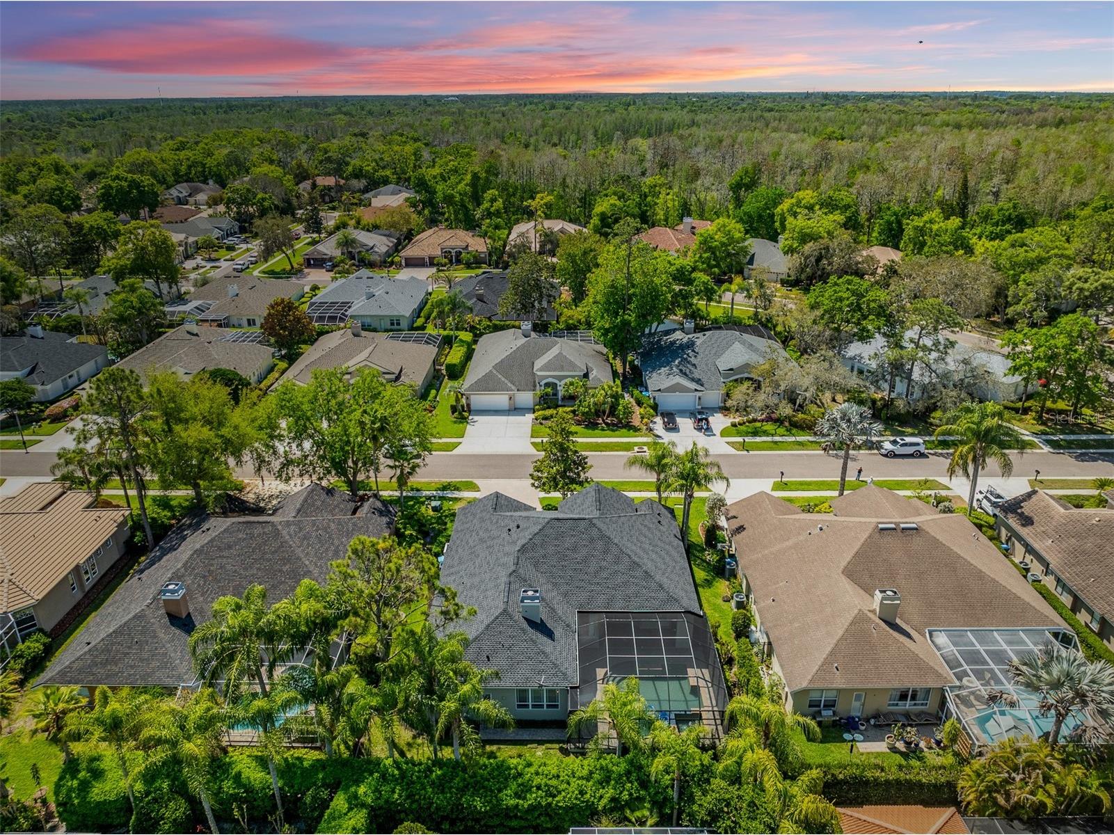 2867 Deer Run Tarpon Springs FL 34688 TB8491964 image61